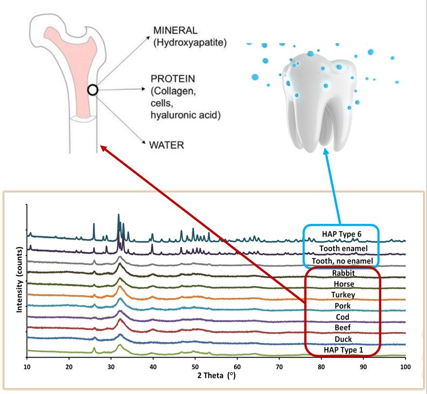 Analiza fazowa hydroksyapatytu metodą dyfrakcji rentgenowskiej